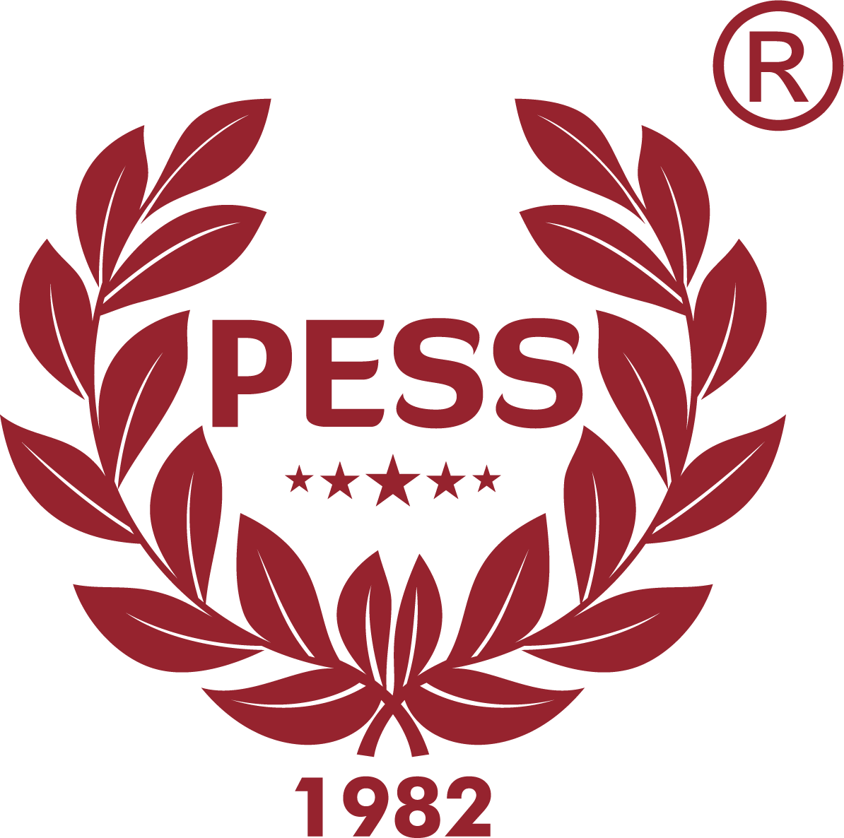 Private Eye Security Systems - PESS